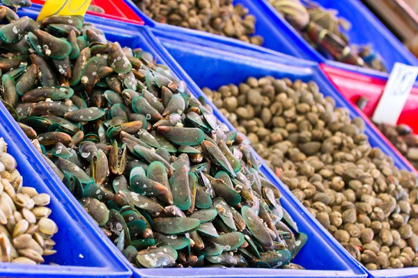 Färsk mussla på marknaden — Stockfoto