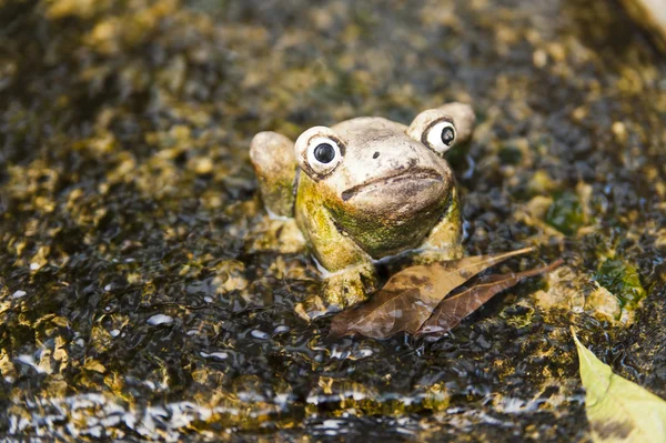 Keramická žába v malém rybníku — Stock fotografie