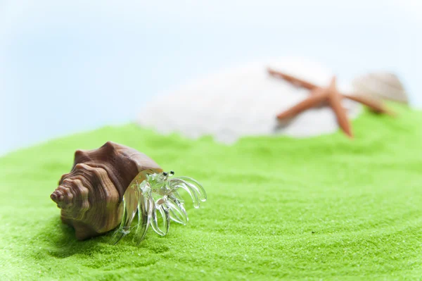 Hermosa forma de cangrejo ermitaño a lo largo de la playa verde — Foto de Stock