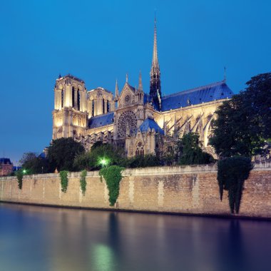 Notre dame, paris - Fransa