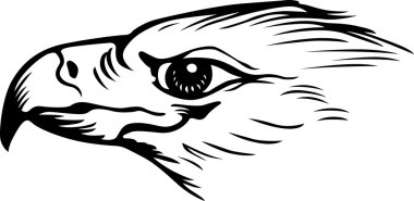 Eagle's head clipart