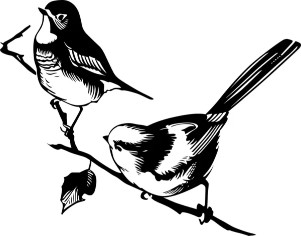 Dva ptáci — Stockový vektor