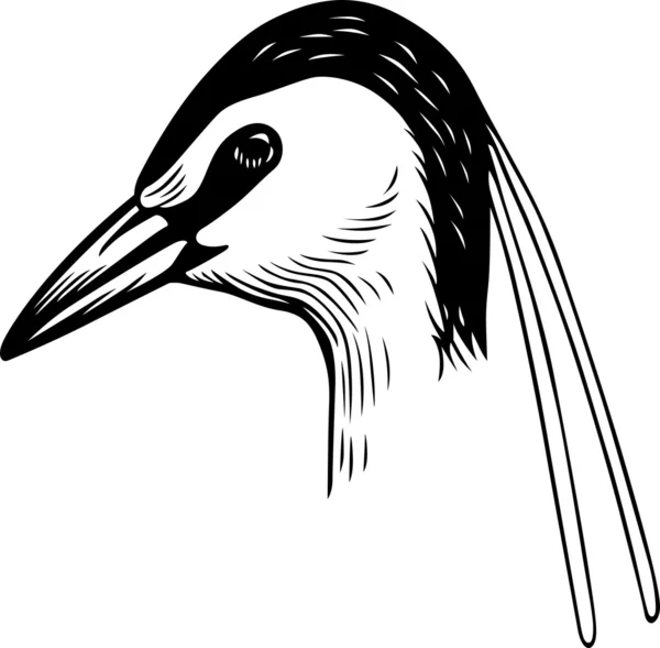 Vogelkopf — Stockvektor
