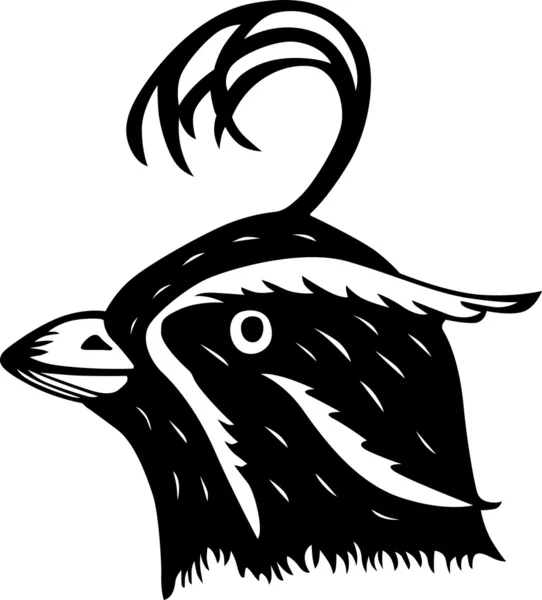 Птичья голова — стоковый вектор