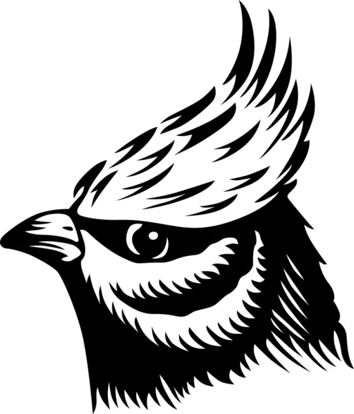 Bird head — Stock Vector