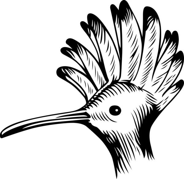 鸟的头 — 图库矢量图片