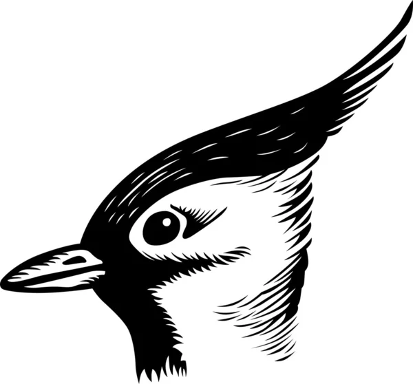 Κεφάλι πουλιού — Διανυσματικό Αρχείο