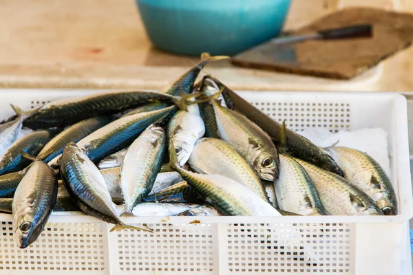 Peces frescos en el mercado —  Fotos de Stock