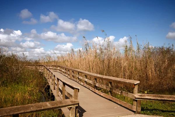 Un ponte di legno attraverso le Everglades — Foto Stock