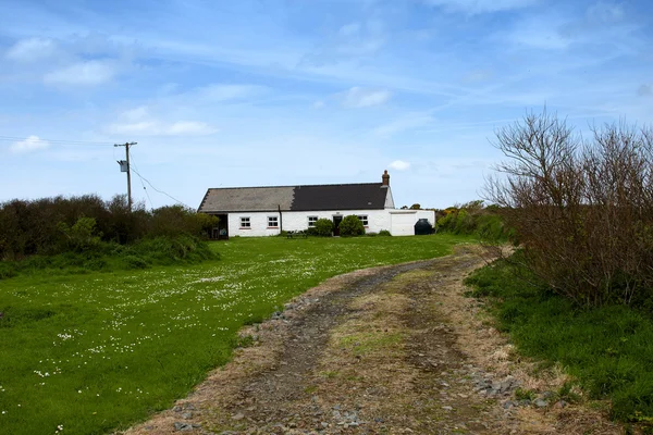 Due tipici cottage in pembrokeshire — Foto Stock