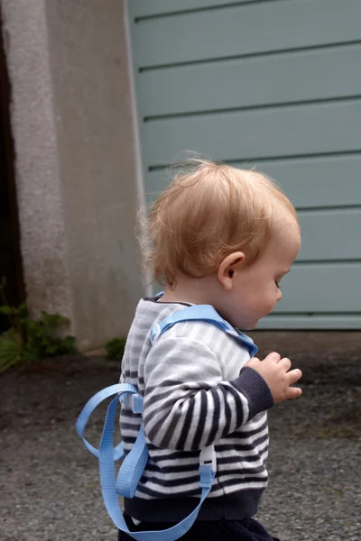 A toddler wearing a walking harness — Stock Photo, Image