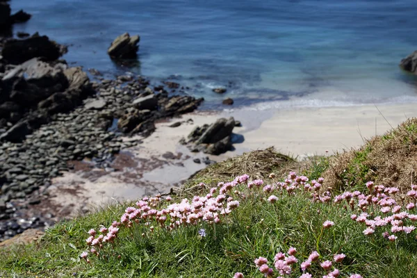 Pembrokeshire sahil şeridi üzerinde küçük koy — Stok fotoğraf