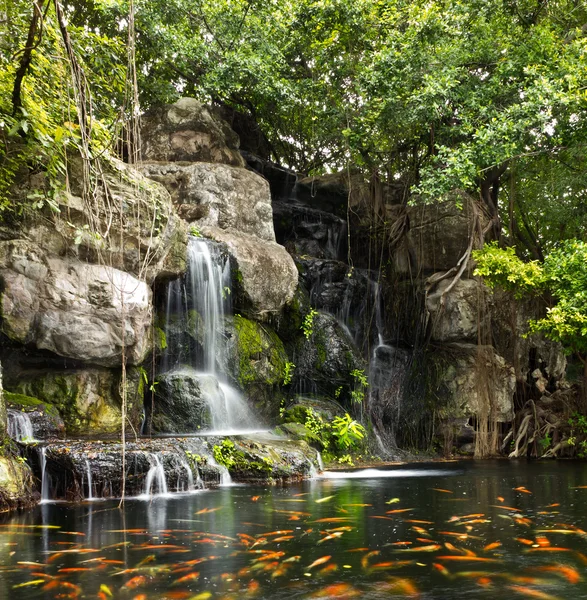 Peixe Koi na lagoa no jardim com uma cachoeira — Fotografia de Stock