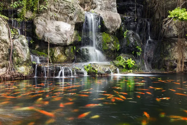 Koi fish in pond at the garden with a waterfall — Stock Photo, Image