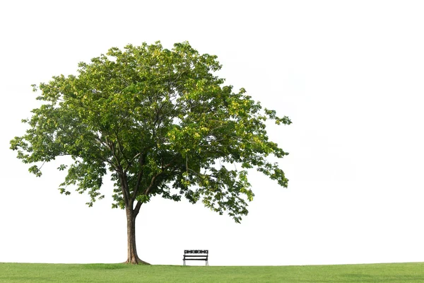 Tree with bench and green grass isolated on the white backgroun — Stock Photo, Image