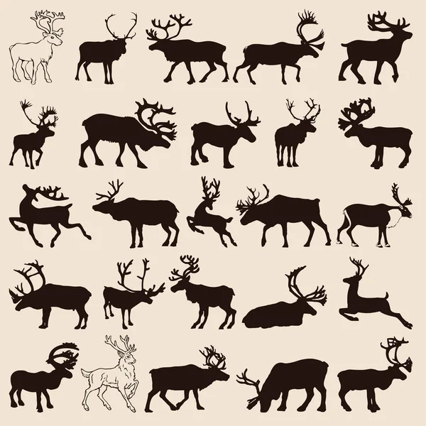 Ensemble de rennes — Image vectorielle