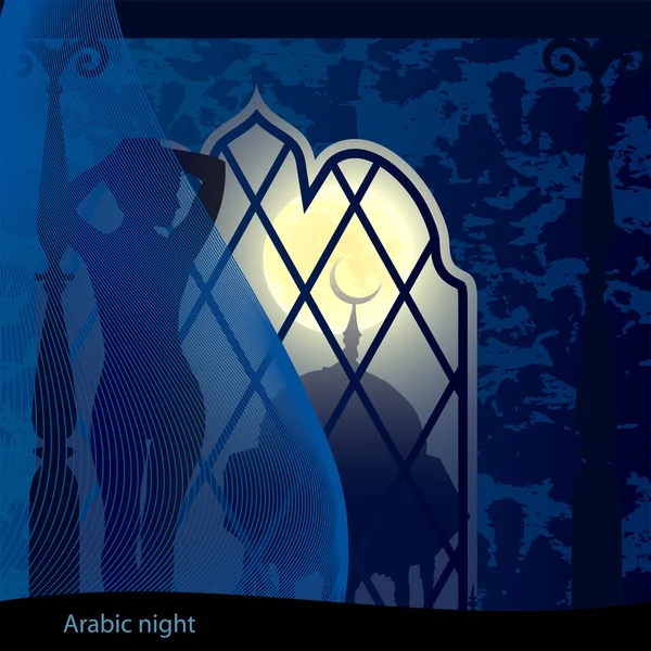 Noite árabe — Fotografia de Stock