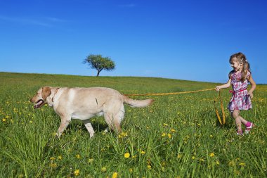 Walking dog clipart