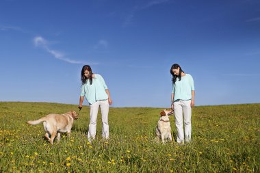 Köpek Eğitmeni