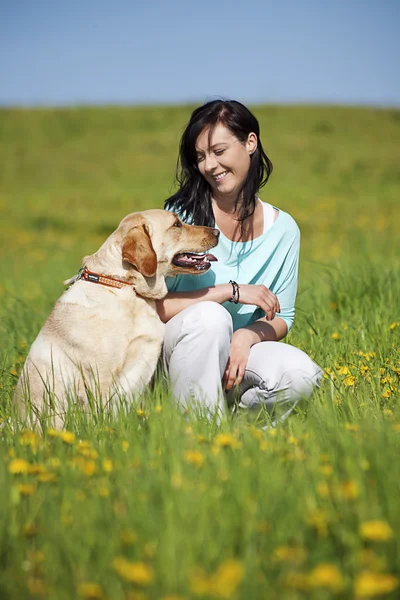 GIrl กับสุนัข — ภาพถ่ายสต็อก