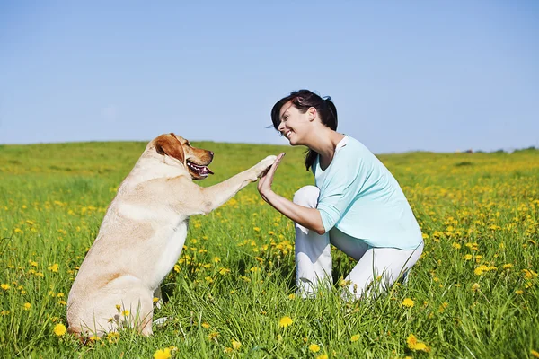 High Five — Stockfoto