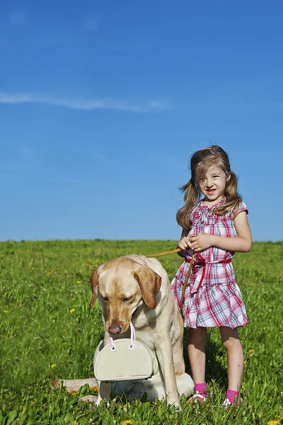 Gilr com cão — Fotografia de Stock