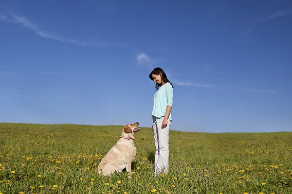 Dog trainer Royalty Free Stock Images