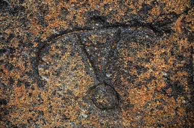 Hawaiian petroglifler