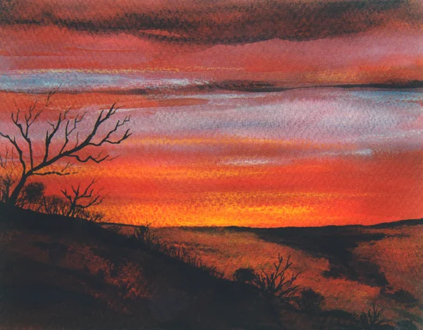Albero sterile al tramonto — Foto Stock