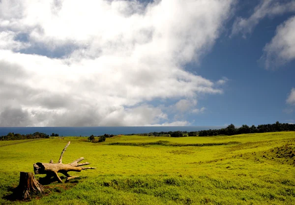 Χαβάη καλλιεργήσιμο έδαφος — Φωτογραφία Αρχείου