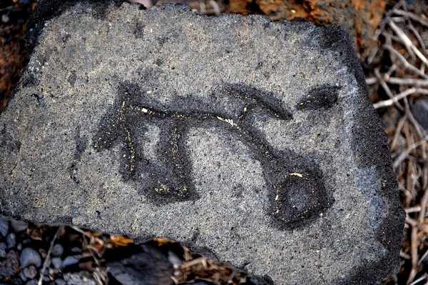 Hawaiiske petroglyfer – stockfoto