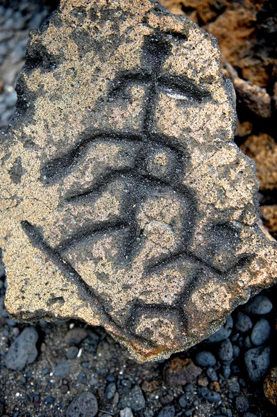 Petroglifi hawaiani — Foto Stock