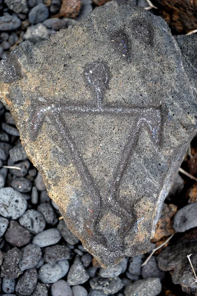 stock image Hawaiian Petroglyphs