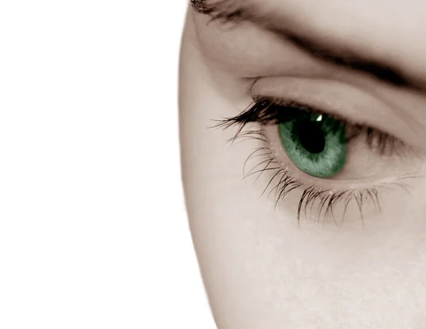 Одне око-зелений — стокове фото