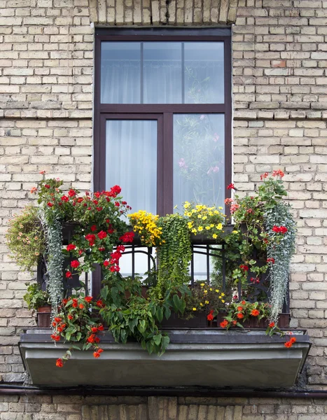 Flowered balcony — Stock Photo, Image