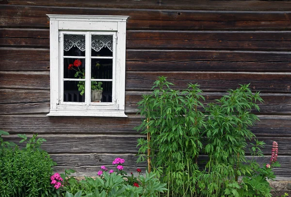 Casa rural e canteiro de flores — Fotografia de Stock
