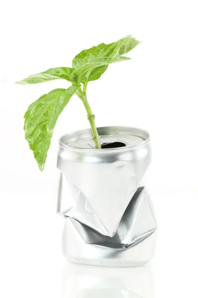 Una nuova vita. lattina di alluminio con pianta verde crescente — Foto Stock