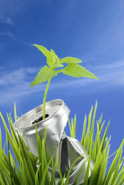 Алюминиевая банка с растущим растением на зеленой траве — стоковое фото