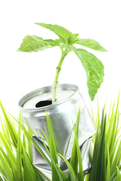 Aluminium kan met groeiende plant op het groene gras — Stockfoto