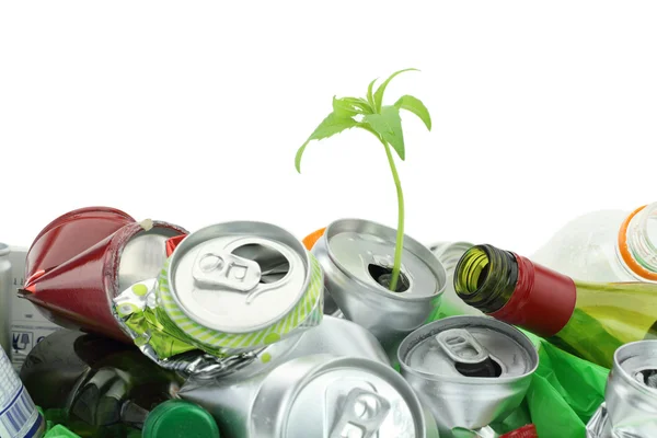 Conceito de conservação ambiental. Lixo com planta em crescimento — Fotografia de Stock
