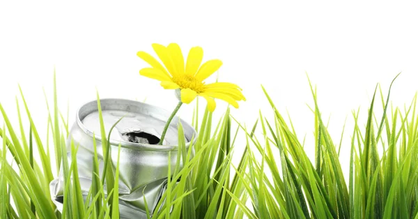 Grüne Öko-Fahne. Aluminiumdose mit wachsender Gänseblümchenblume — Stockfoto