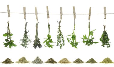 Fresh herbs hanging on a rope clipart