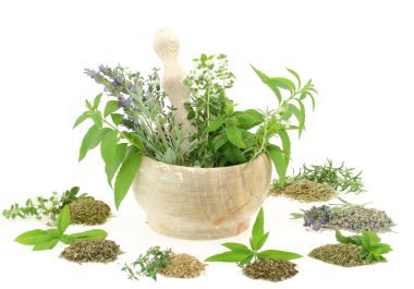 Mortar and pestle with herbs and spices clipart