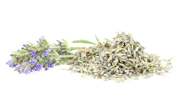 Frischer und trockener Lavendel — Stockfoto