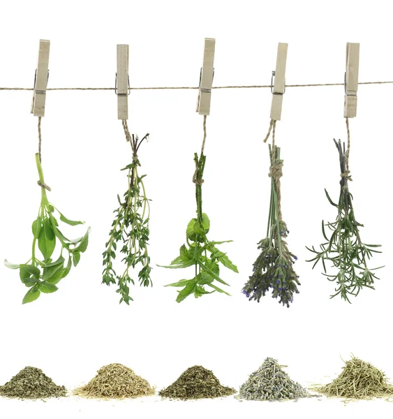 Fresh herbs hanging on a rope — Stock Photo, Image