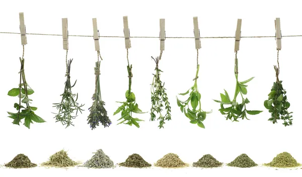 Fresh herbs hanging on a rope — Stock Photo, Image