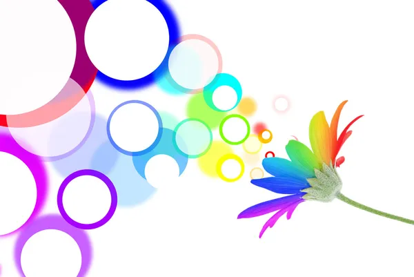 Speech bubbles come out of rainbow flower — Stock Photo, Image