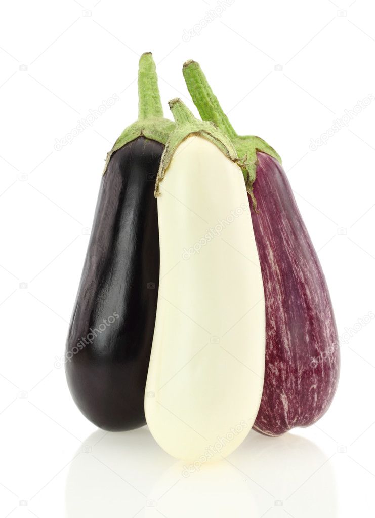 Eggplant varieties