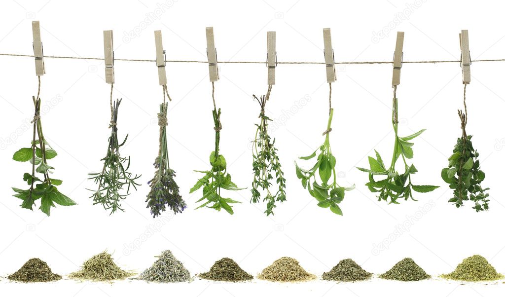 Fresh herbs hanging on a rope