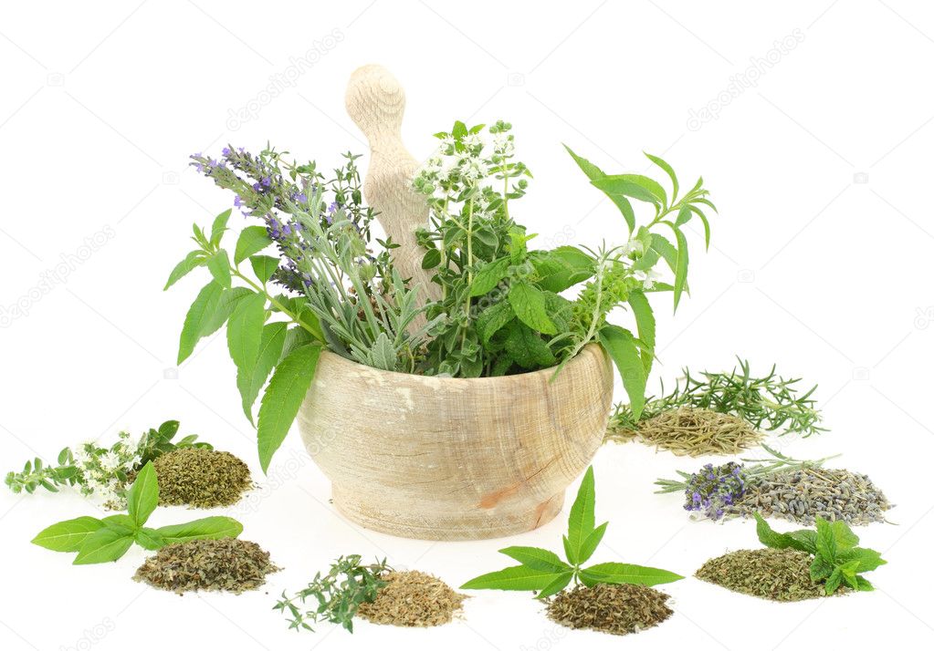 Mortar and pestle with herbs and spices